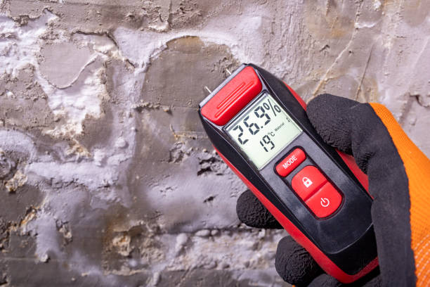 Best Residential Mold Removal  in Claryville, KY