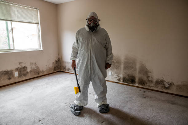 Best Fast Mold Removal  in Claryville, KY